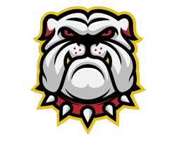 bulldog-251
